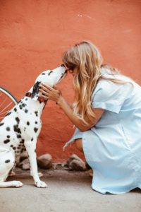Pet trusts are a tool for pet parents.