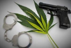 Marijuana and Concealed Carry Gun